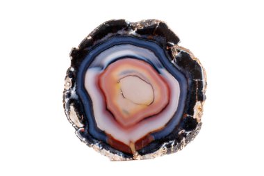 Beyaz bir arka plan makro mineral taş sarı, kahverengi akik doğurmak yakın çekim