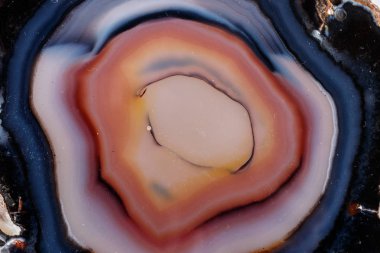 Beyaz bir arka plan makro mineral taş sarı, kahverengi akik doğurmak yakın çekim