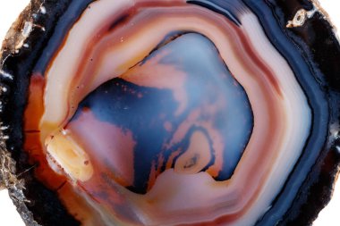 Beyaz bir arka plan makro mineral taş sarı, kahverengi akik doğurmak yakın çekim