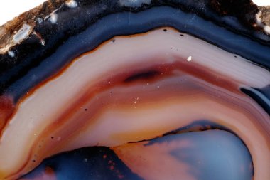 Beyaz bir arka plan makro mineral taş sarı, kahverengi akik doğurmak yakın çekim