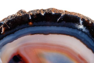 Beyaz bir arka plan makro mineral taş sarı, kahverengi akik doğurmak yakın çekim