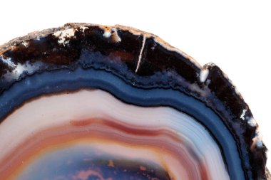 Beyaz bir arka plan makro mineral taş sarı, kahverengi akik doğurmak yakın çekim