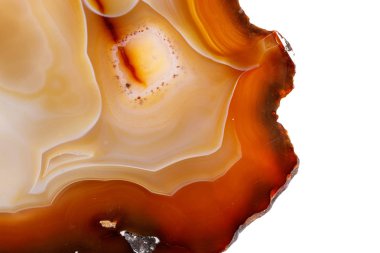 Beyaz bir arka plan makro mineral taş sarı, kahverengi akik doğurmak yakın çekim