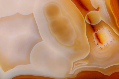 Beyaz bir arka plan makro mineral taş sarı, kahverengi akik doğurmak yakın çekim