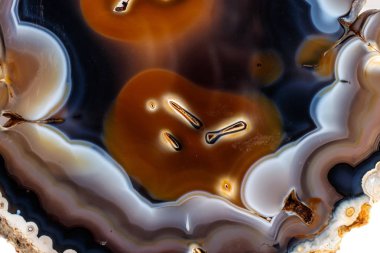 Beyaz bir arka plan makro mineral taş sarı, kahverengi akik doğurmak yakın çekim