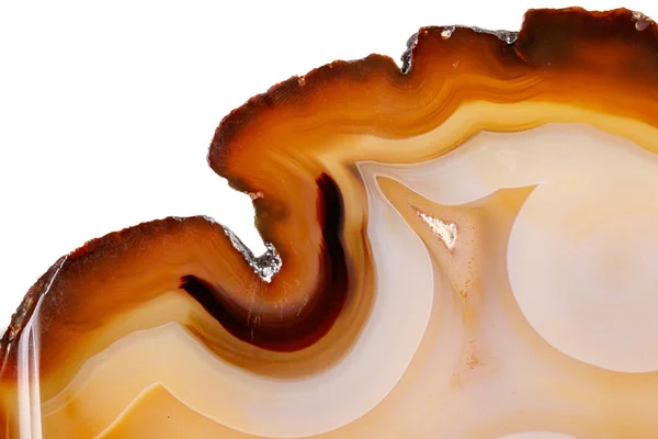 Macro Pierre Minérale Jaune Brun Agate Reproduire Fond Blanc Près — Photo