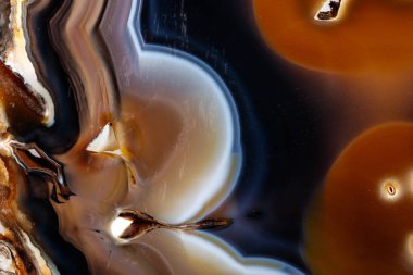 Beyaz bir arka plan makro mineral taş sarı, kahverengi akik doğurmak yakın çekim