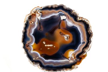 Beyaz bir arka plan makro mineral taş sarı, kahverengi akik doğurmak yakın çekim