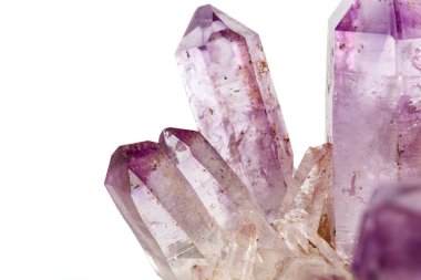 Ametist Crystal Druse makro mineral beyaz arka plan üzerinde Kapat
