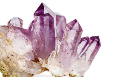 Ametist Crystal Druse makro mineral beyaz arka plan üzerinde Kapat