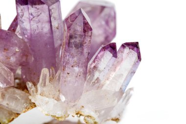 Ametist Crystal Druse makro mineral beyaz arka plan üzerinde Kapat