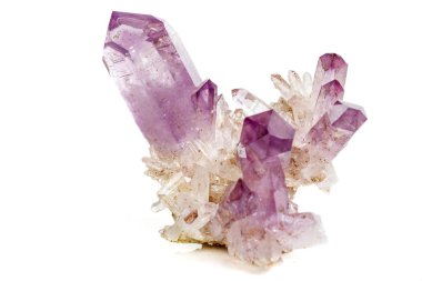 Ametist Crystal Druse makro mineral beyaz arka plan üzerinde Kapat