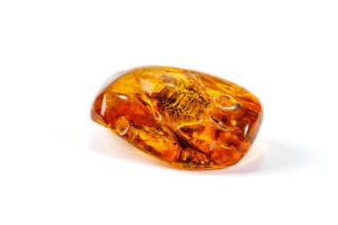 Makro beyaz zemin üzerine örümcek ile Amber mineral taş yakın çekim