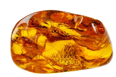 Makro beyaz zemin üzerine örümcek ile Amber mineral taş yakın çekim
