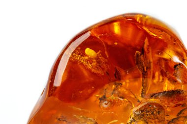 Makro beyaz zemin üzerine örümcek ile Amber mineral taş yakın çekim