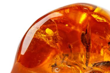 Makro beyaz zemin üzerine örümcek ile Amber mineral taş yakın çekim