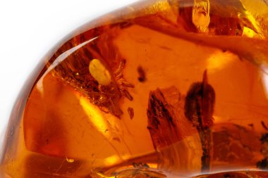 Makro beyaz zemin üzerine örümcek ile Amber mineral taş yakın çekim