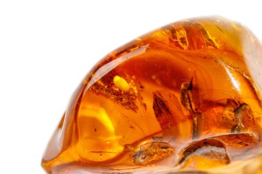 Makro beyaz zemin üzerine örümcek ile Amber mineral taş yakın çekim