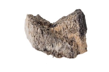 Makro mineral taş Schorl, Siyah Tourmaline feldspat beyaz arka plan yakın çekim üzerinde üzerinde