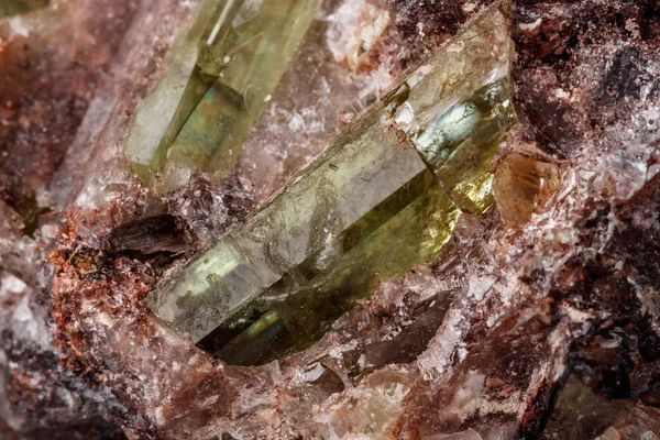 Pietra Minerale Macro Apatite Dorata Sfondo Bianco — Foto Stock