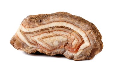 Makro mineral taş akik kahverengi beyaz arka plan üzerinde kapat