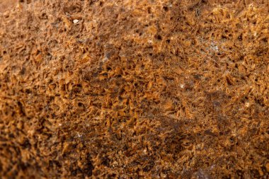 Makro mineral taş akik kahverengi beyaz arka plan üzerinde kapat