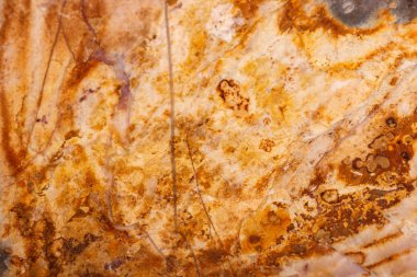 Makro mineral taş akik siyah bir zemin üzerine yakın çekim