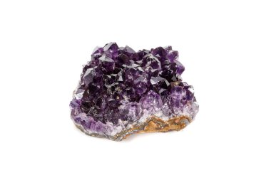 Ametist Crystal Druse makro mineral beyaz arka plan üzerinde Kapat