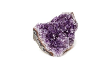 Ametist Crystal Druse makro mineral beyaz arka plan üzerinde Kapat
