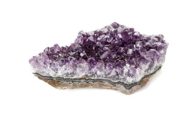 Ametist Crystal Druse makro mineral beyaz arka plan üzerinde Kapat