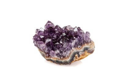 Ametist Crystal Druse makro mineral beyaz arka plan üzerinde Kapat