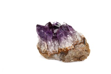Ametist Crystal Druse makro mineral beyaz arka plan üzerinde Kapat
