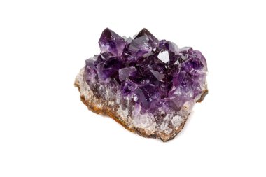 Ametist Crystal Druse makro mineral beyaz arka plan üzerinde Kapat