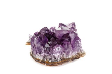 Ametist Crystal Druse makro mineral beyaz arka plan üzerinde Kapat