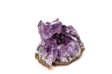 Ametist Crystal Druse makro mineral beyaz arka plan üzerinde Kapat