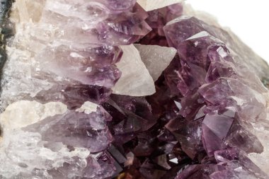 Ametist Crystal Druse makro mineral beyaz arka plan üzerinde Kapat