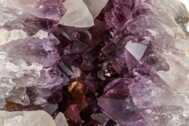 Ametist Crystal Druse makro mineral beyaz arka plan üzerinde Kapat