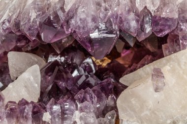 Ametist Crystal Druse makro mineral beyaz arka plan üzerinde Kapat
