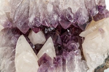 Ametist Crystal Druse makro mineral beyaz arka plan üzerinde Kapat