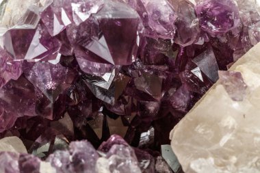 Ametist Crystal Druse makro mineral beyaz arka plan üzerinde Kapat