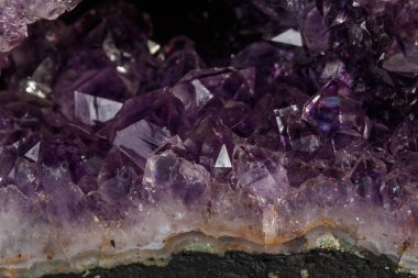 Ametist Crystal Druse makro mineral beyaz arka plan üzerinde Kapat
