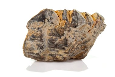 Makro mineral taş dumanlı kuvars, beyaz bir backgrou üzerinde rauchtopaz