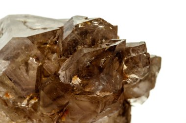 Makro mineral taş dumanlı kuvars, beyaz bir backgrou üzerinde rauchtopaz
