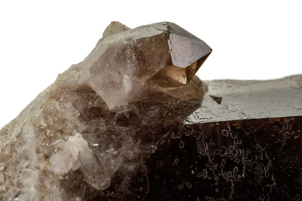 宏观矿物石烟熏石英, 在白色的反重石上的 rauchtopaz — 图库照片