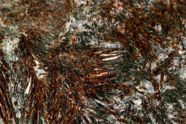 Makro mineral taş astrophyllite beyaz arka plan 