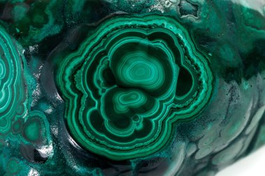 Malakit makro mineral taş beyaz bir arka plan üzerine 