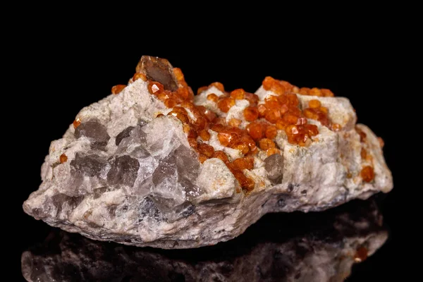 Makromineralstein Grossular, Granat, Epidot auf schwarzem Backgr — Stockfoto