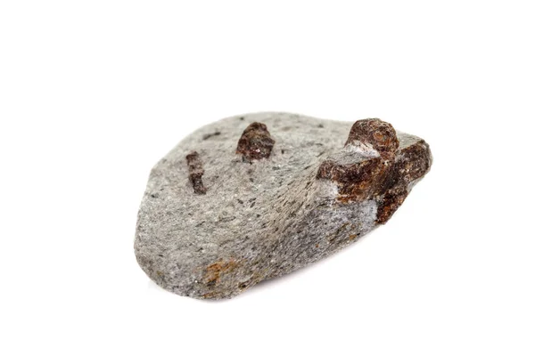 Макро мінеральний камінь Ставроліт на білому тлі — стокове фото