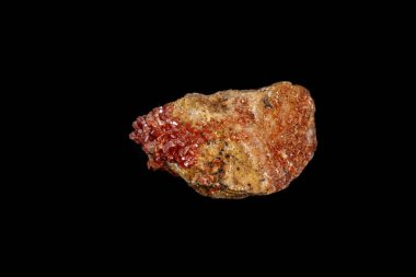 Makro mineral taş Vanadinite siyah bir zemin üzerine