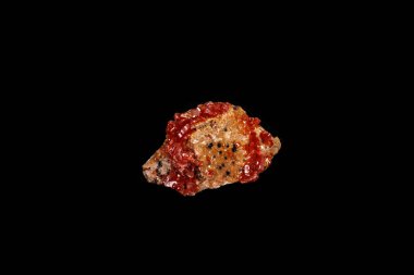Makro mineral taş Vanadinite siyah bir zemin üzerine